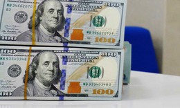 Tỷ gi&#225; h&#244;m nay 9/12: Gi&#225; USD v&#224; NDT tăng, giảm tr&#225;i chiều