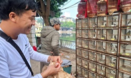 Chợ của người m&#234; chim ở H&#224; Nội c&#243; g&#236; lạ?