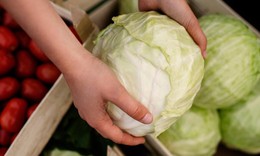 Ăn bắp cải c&#243; t&#225;c dụng g&#236;?