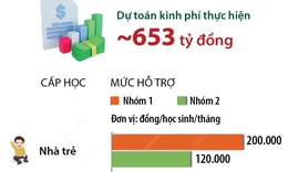 TP Hồ Ch&#237; Minh miễn học ph&#237; từ năm học 2025-2026