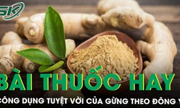 B&#224;i thuốc hay từ gừng v&#224; c&#244;ng dụng tuyệt vời trong Đ&#244;ng y