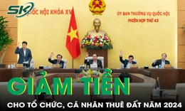 Thống nhất giảm 30% tiền thuê đất phải nộp năm 2024 cho tổ chức, hộ gia đình, cá nhân