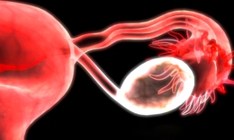 Phát hiện mới mở ra bí ẩn của thời kỳ mãn kinh