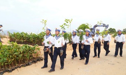Hải quân trồng thí điểm bổ sung rừng phủ xanh bán đảo Cam Ranh