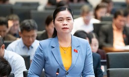 ĐBQH: Cần quy trách nhiệm thu hồi, xử lý hóa chất bị cấm sau khi lưu thông trên thị trường