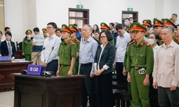 Hoãn phiên tòa phúc thẩm lần 2 vụ cựu Chủ tịch FLC Trịnh Văn Quyết