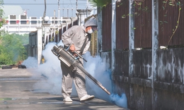 Sốt xuất huyết: Đừng để 'chuyện muỗi' làm lớn!