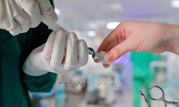 AI hỗ trợ chẩn đoán nhanh bệnh celiac: Bước tiến mới trong ứng dụng y học số