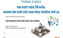 Tháng 3/2025: PMI vượt trên 50 điểm, ngành sản xuất Việt Nam tăng trưởng trở lại