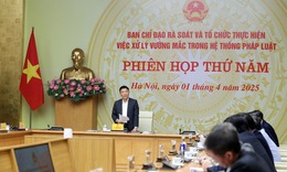 Khẩn trương hoàn thiện các văn bản trình Kỳ họp thứ 9 liên quan đến sắp xếp, tổ chức bộ máy