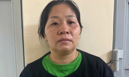 Bắt đối tượng trốn thi hành án vì môi giới mại dâm sau 8 năm lẩn trốn