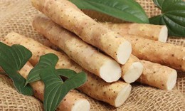 Dược thiện phòng, chống tăng tiết mồ hôi