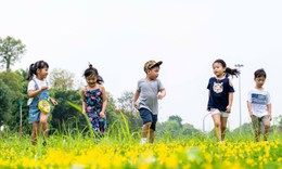 Đẩy mạnh các dịch vụ toàn diện về chăm sóc, giáo dục và bảo vệ trẻ em