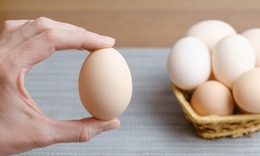 Bác sĩ chỉ cách ăn trứng an toàn cho 3 nhóm người bệnh đái tháo đường, mỡ máu, tăng huyết áp