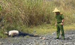 Thi thể người đàn ông nghi tâm thần được phát hiện sau gần 20 ngày mất tích