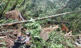 Vừa xảy ra động đất ở Quảng Nam, Kon Tum