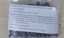 Vì sao chọn hạt sen để mang lên vũ trụ?