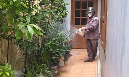 Số ca mắc sốt xuất huyết tăng, Hải Phòng yêu cầu giám sát chặt