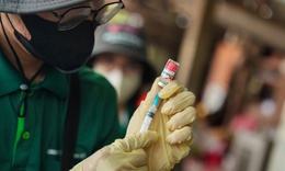 Cảnh báo từ WHO về bệnh dại, tiêm vaccine là 'lá chắn' sống còn