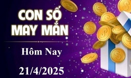 Con số may mắn hôm nay 21/4 - số tài lộc 12 con giáp đầu tuần
