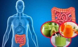 Lợi ích của chế độ ăn uống cân bằng với sức khỏe đường ruột