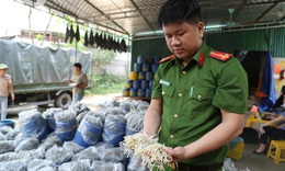 Thủ đoạn tinh vi sản xuất và tuồn 3.500 tấn giá đỗ ngâm hóa chất ra thị trường