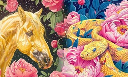 Tử vi 12 con giáp hôm nay 25/4: Ngọ thu nhập tăng, Hợi tài chính cải thiện