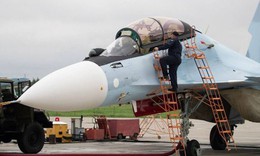 Ukaine nói Su-30SM trị giá 50 triệu đô của Nga bị thiêu rụi