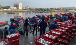 Chợ cá Nghi Thủy 'níu' chân du khách
