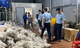 Kiểm tra bất ngờ kho lạnh ở Phú Xuyên, phát hiện 11 tấn thịt và nội tạng bò không rõ nguồn gốc