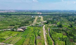 Ch&#237;nh s&#225;ch mới về đất n&#244;ng nghiệp c&#243; hiệu lực từ th&#225;ng 4