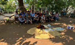 Bắt quả tang 15 đối tượng đang đá gà ăn tiền