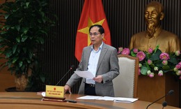Phó Thủ tướng giao Bộ Tài chính tiếp tục rà soát, hoàn thiện phương án giảm thuế nhập khẩu
