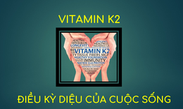 Vitamin K2 -một loại vitamin thiết yếu nhưng dễ bị 'lãng quên'