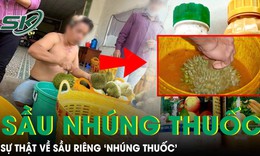 Sầu riêng ‘nhúng thuốc’ có gây ung thư như lời đồn?