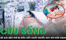 Cứu sống bé gái béo phì bị sốc sốt xuất huyết, biến chứng suy hô hấp nặng