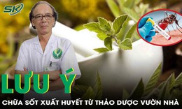 Chữa sốt xuất huyết bằng thảo dược, những điều cần lưu ý