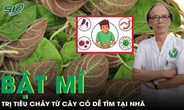 Mẹo trị tiêu chảy từ cây cỏ dễ tìm tại nhà
