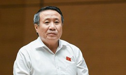 Đề xuất doanh nhân phạm tội được tại ngoại để khắc phục hậu quả, điều hành doanh nghiệp