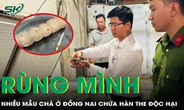Rùng mình: Nhiều mẫu chả ở Đồng Nai chứa hàn the độc hại
