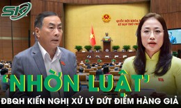 ĐBQH kiến nghị không để quảng cáo sai, hàng giả, hàng nhái ‘nhờn luật’