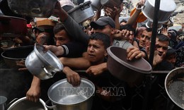 LHQ cảnh báo nguy cơ 14.000 trẻ sơ sinh Gaza tử vong trong 48 giờ nếu thiếu viện trợ