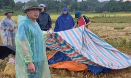 Thanh niên dùng điện thoại trên cánh đồng bị sét đánh tử vong