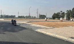 Đấu giá huyện ven Hà Nội bất ngờ lên gần 181 triệu đồng/mét vuông