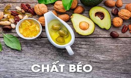 Mỡ có thực là xấu? Vai trò của mỡ trong hấp thu vitamin