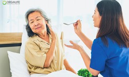 Giải pháp dinh dưỡng cho người kém hấp thu, suy nhược
