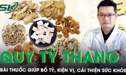 Quy Tỳ Thang: Bài thuốc Đông y giúp bổ tỳ, kiện vị và cải thiện sức khỏe