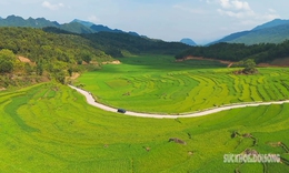 Say đắm sắc xanh mùa lúa non ở Pù Luông