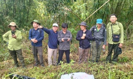 Ninh Thuận chủ động phương án ứng phó trước nguy cơ cháy rừng cao