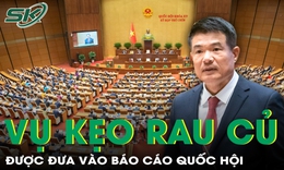 Vụ án kẹo rau củ Kera được điểm tên trong báo cáo Quốc hội